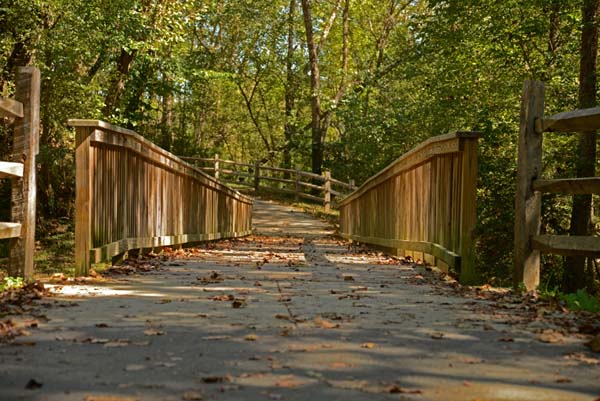 Pathways