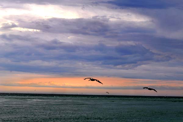 Riding the Wind